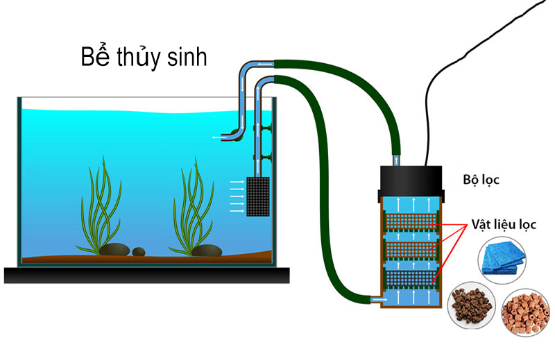 Hệ thống lọc bể thủy sinh